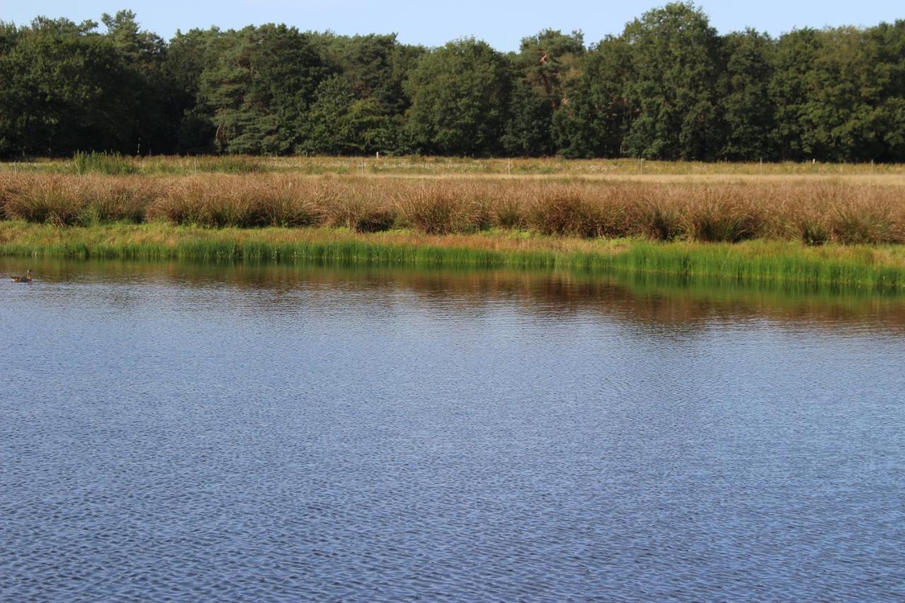 Vila Drents Genieten - Riegheide Met Prive Jacuzzi Erm Exteriér fotografie